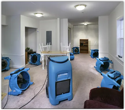 Water Mitigation Services in Florence, AZ