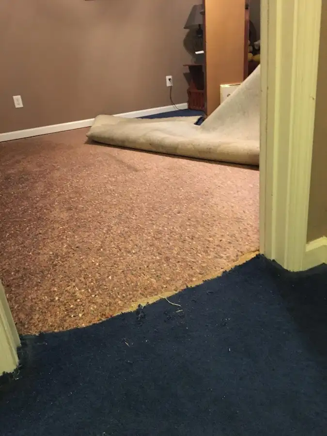Carpet pad removal revealing water damage during Water Mitigation Services in Florence